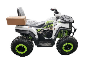 Квадроцикл ATV R-moto Lion 200 King